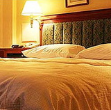 Heritage and Luxury hotels India